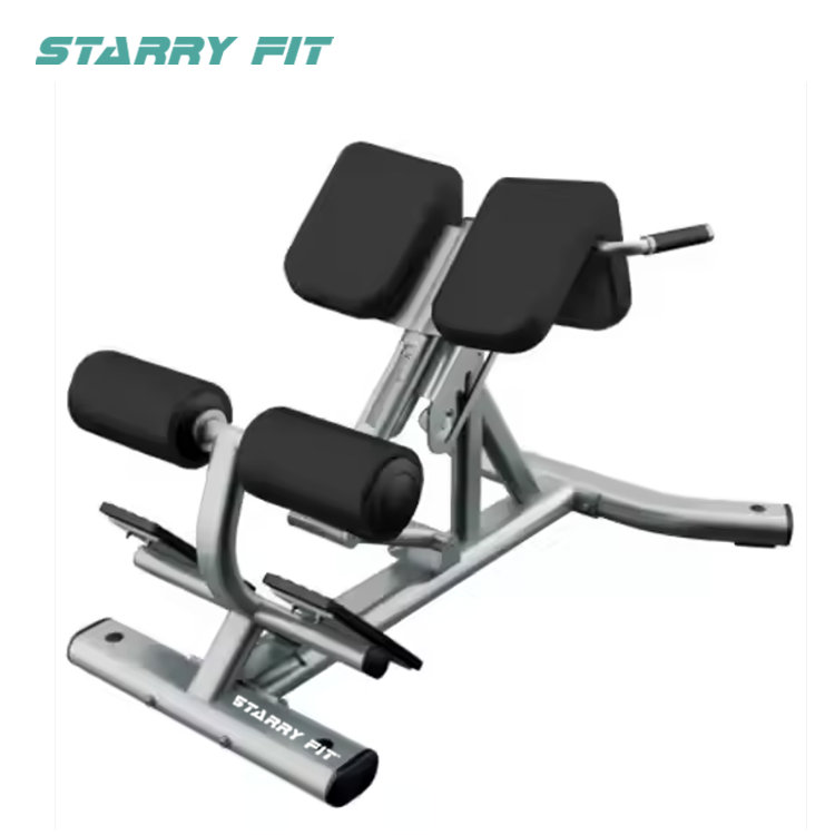 등 확장<br />LF-B-SBE 등 확장<br />LF-B-SBE