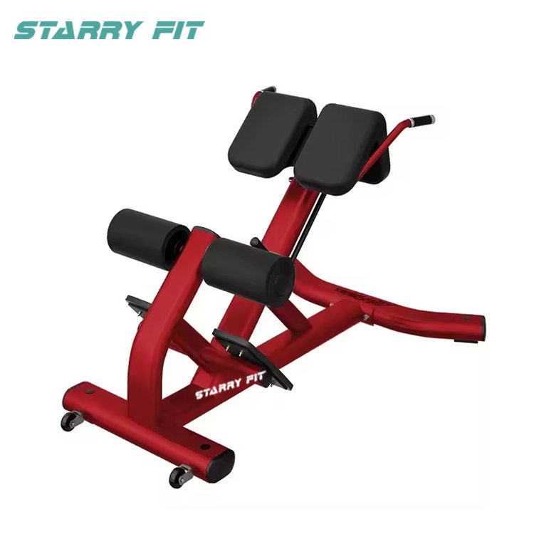 등 확장<br />LF-B-SBE 등 확장<br />LF-B-SBE